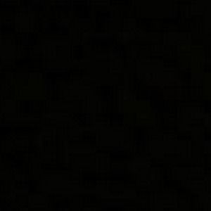 Meet your Posher, Leila